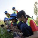 갯벌탐사