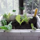 아이스박스과천