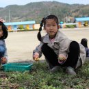 회천서초교 이미지