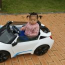 흰수염고래리조트 이미지