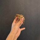 동탄대로21가길 이미지