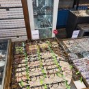 렌즈베리 경희대점 이미지