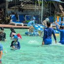 영어그림책 키즈클럽(유아반) | 괌 가족여행 추천. PIC 리조트 키즈클럽 완벽 정리