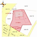 강정동-13 이미지