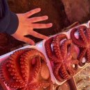 칠성원시장 | 칠성 진시장 먹거리가 다양한 곳