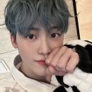 갤러리다옴 Daum카페