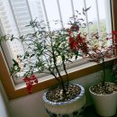 현순농장 이미지