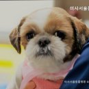 미사서울동물병원 | 하남동물병원 미사서울동물병원 편리한 접근성 제공