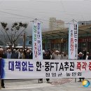 청양약초구기자시장 이미지