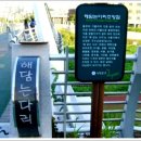 왔다 산아나고구이 이미지