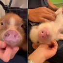 카페안길 이미지