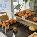 경양로 | 광주 중흥동 카페 소금빵 맛집 위시베이크 내돈내산