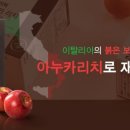 리치홈쇼핑