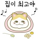 왕이모