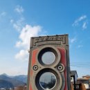 꿈꾸는 삼남매