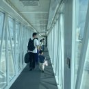 세븐일레븐 대전장대점 | 청주공항 취향 기념 고베, 교토 여행