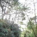 도림건재 | 전라도 정자詩로 만난 인물-오준선(吳駿善)2
