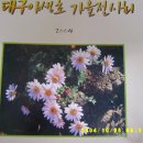 400001 Daum카페