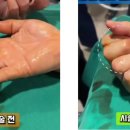 의성수지 네이버블로그