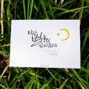 선지그리다