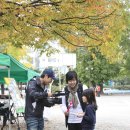 가을동화 이미지