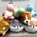 유픽의원2