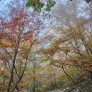 인생아구찜 영등포점 이미지