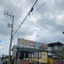 코코치킨나라 | 제주도 우도 :: 코코나라 (전기스쿠터 후기)