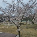 토함산마이웨이야영장