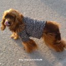 낼름 낼름 이미지