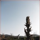 여름지기 - 봉화군 공세동길 86 | 여름지기