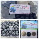 솔밭초교 이미지