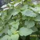 용규농장 이미지