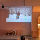 딩굴댕굴 애견호텔 유치원 이미지