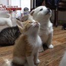 안녕하세요 - 의정부시 | 안녕하세요