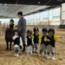 등원산업 | 파주 출판도시 어린이집 3년차 후기💐