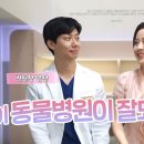 성심동물병원 이미지