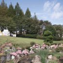 화덕쿡 | 치즈가 폭발하는 임실치즈테마파크 화덕쿡 피자 후기