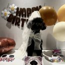 퍼피야미 이미지