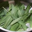 세이지 SAGE