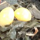 군산돌솥밥 장국명가 군산보리비빔밥 군산소면 군산한정식 군산회식장소 군산모임장소 이미지