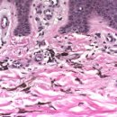 광주주사랑의원 이미지