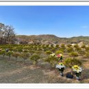 반송목장 이미지