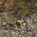 법수치여울목펜션 이미지