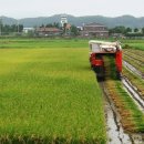 억대축산 이미지