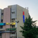 금스시&참치