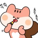 재영 카 써비스 이미지