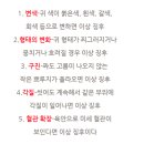 귀건강이혈테라피 이미지