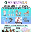 Tiger Paradise Gym 이미지