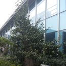 정원식당 앞 이미지